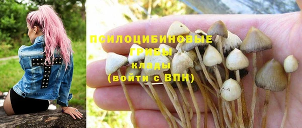 2c-b Магас